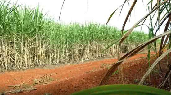 Elza Fiúza / Agência Brasil
