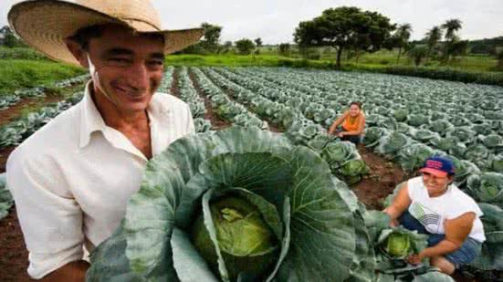Divulgação / Agência Gov