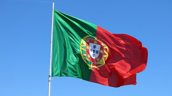 Divulgação / Freepik