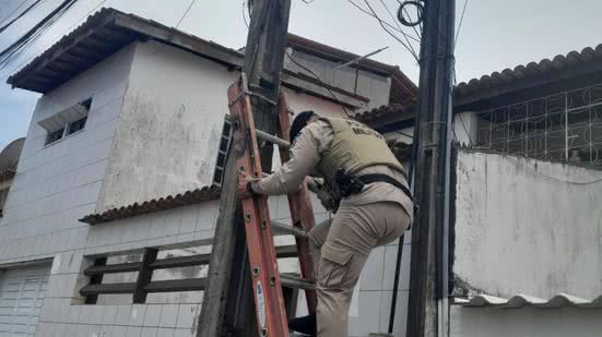 Divulgação / PM-BA