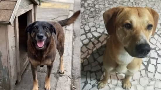 Reprodução / Redes Sociais