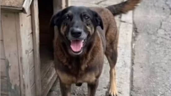 Reprodução / Redes Sociais