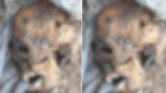 Reprodução | Instagram | @policiacivil_rj