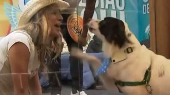 Foto: Reprodução / redes sociais / BBB