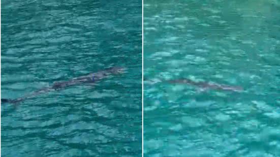 Foto: Reprodução / BNews