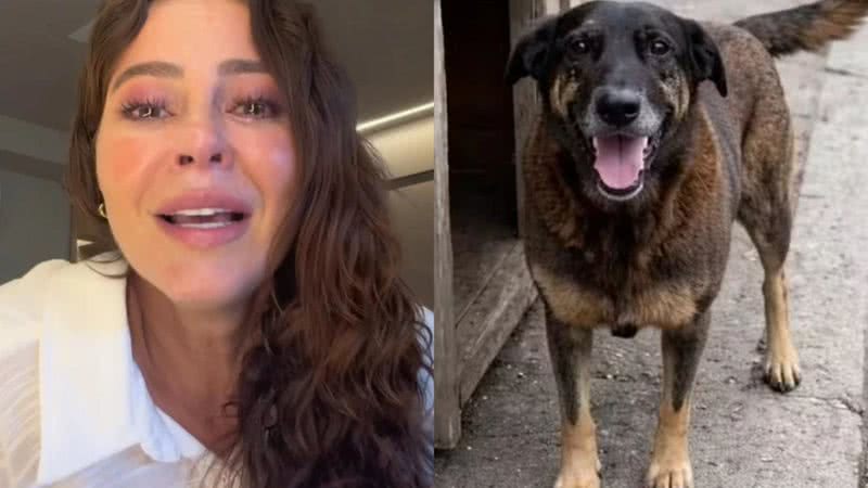 Foto: Reprodução / redes sociais