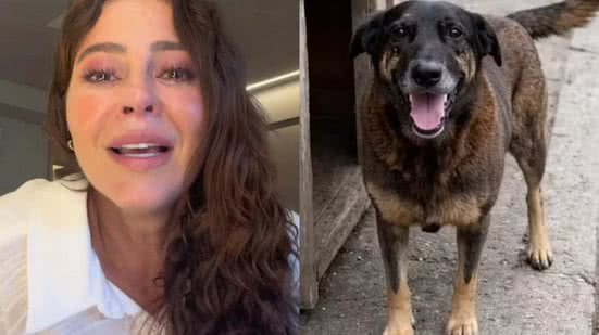 Foto: Reprodução / redes sociais