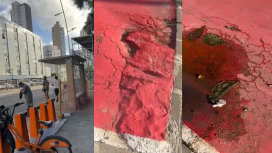 Reprodução / Vídeo