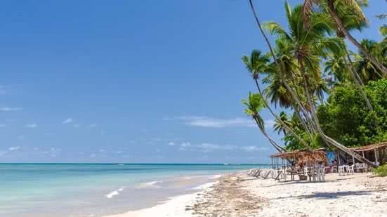 reprodução/boipebatur