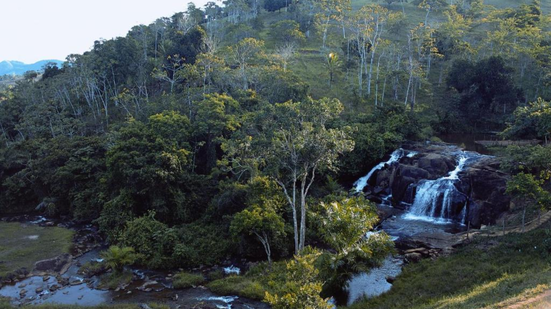 reprodução/ booking