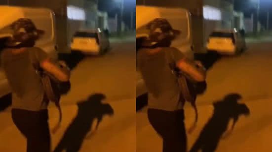 Reprodução/ Vídeo