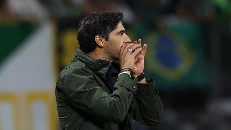 Cesar Greco/Palmeiras