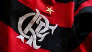 Divulgação / Flamengo
