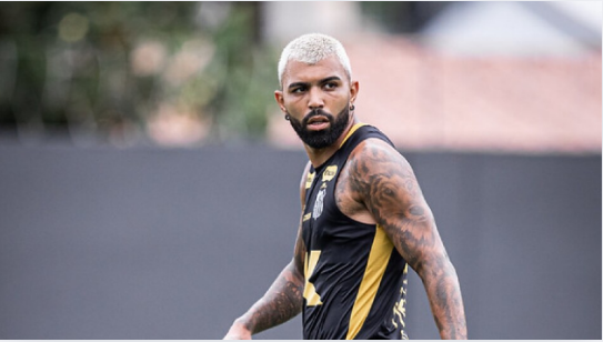 Raul Baretta/ Santos FC