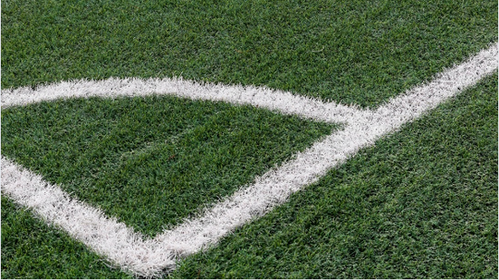 Reprodução- freepik