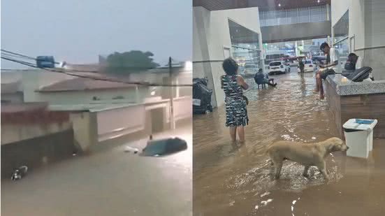 Reprodução/Vídeo e Divulgação