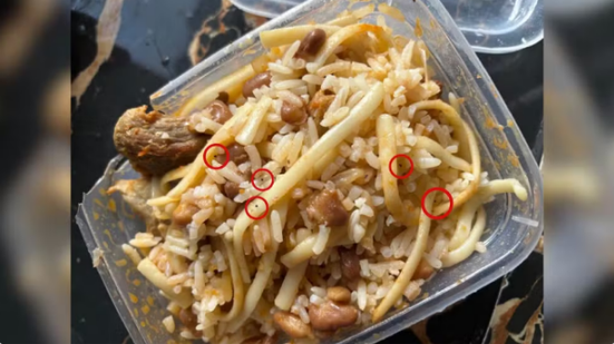 Polícia Civil/Divulgação