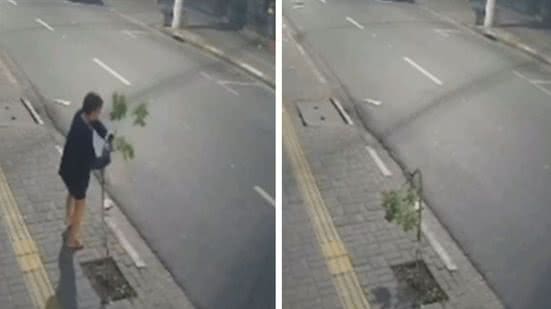 Reprodução / Redes Sociais