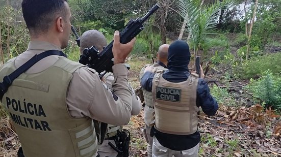 Divulgação