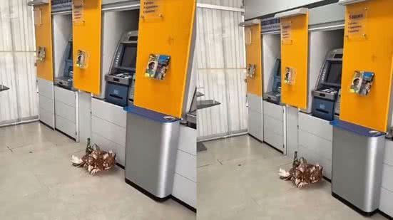 Reprodução / Instagram / @maisregiao e @alocamacari24hs