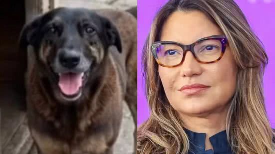 Imagem Janja reage ao assassinato covarde do cão orelha: "Falta de limites"