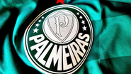 Divulgação/Palmeiras