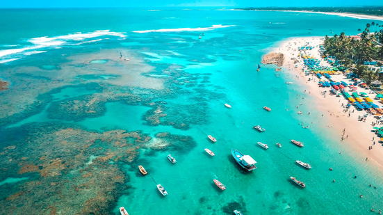 Prefeitura de Ipojuca