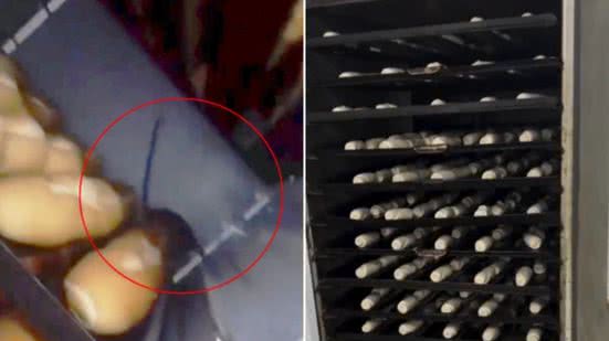 Reprodução / Redes Sociais