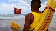 Jefferson Peixoto / Secom PMS