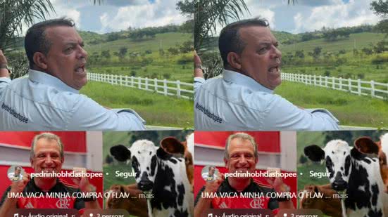 Reprodução