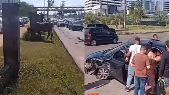 Reprodução/Vídeo