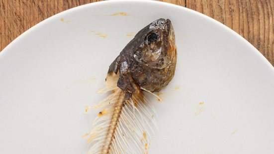 Reprodução / Freepik