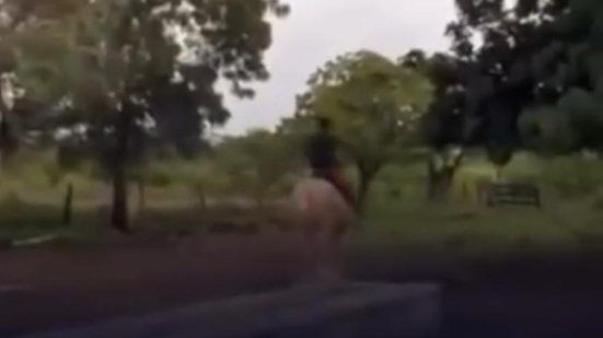 Reprodução Redes Sociais