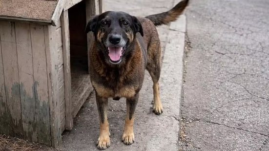 Reprodução Redes Sociais