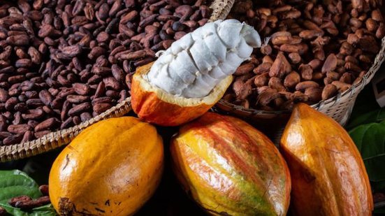 André Fofano / GovBa