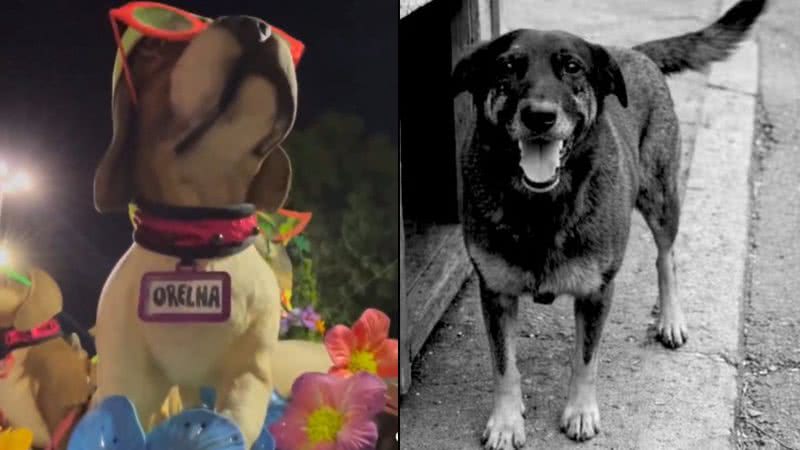Reprodução/instagram