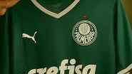 Cesar Greco / Palmeiras