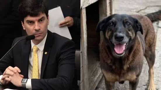 Divulgação / PC-SC