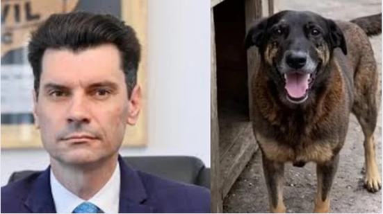 Reprodução/Redes sociais