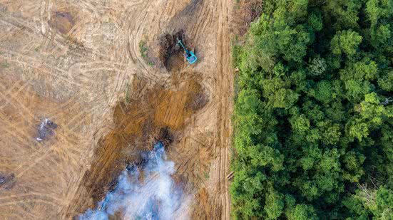 reprodução/cienciahoje