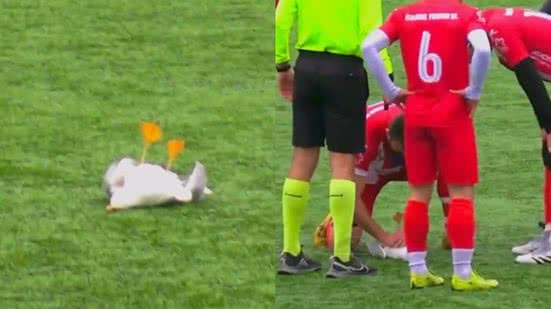 Reprodução / Redes Sociais