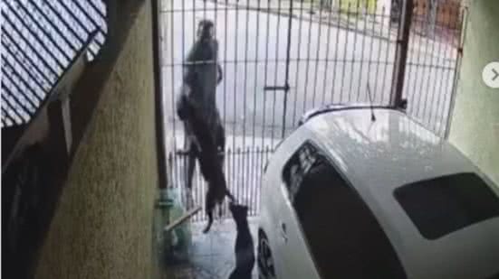 Reprodução | Redes Sociais