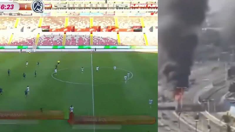 Reprodução