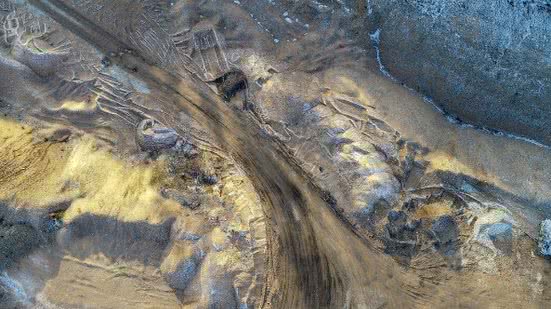 Divulgação / Freepik