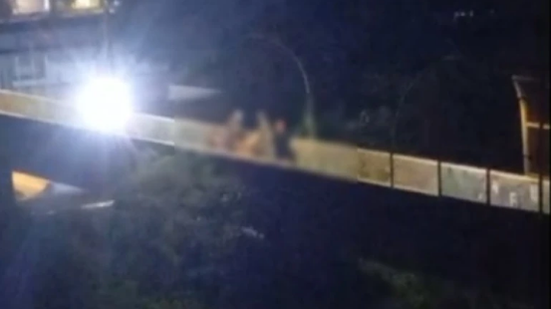 Reprodução- iTATIAIA