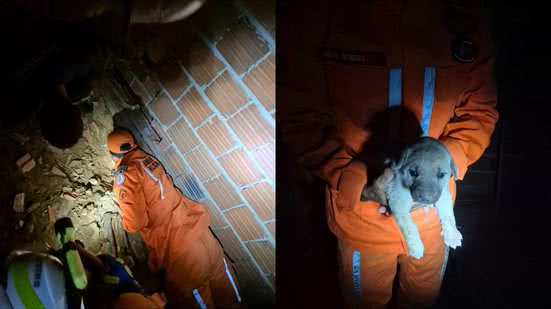 Divulgação/3ª Cia BM