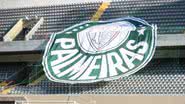 Donnay Medeiros/Palmeiras