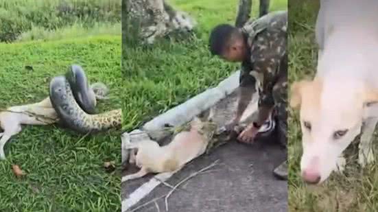 Reprodução/TV Liberal