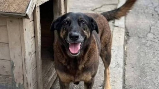 Reprodução / Redes Sociais