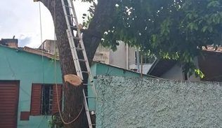 Divulgação/CBMDF